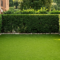 Preparazione del giardino all'autunno